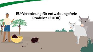 Screenshot des Videos (verweist auf: EU-Verordnung für entwaldungsfreie Produkte (EUDR))